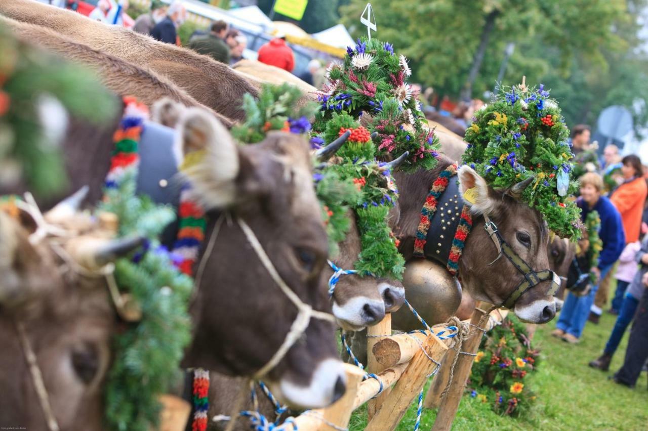Oyer Hof - Selbst Service Oy-Mittelberg